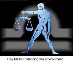 Ray Mallon eco warrior balancing the environment